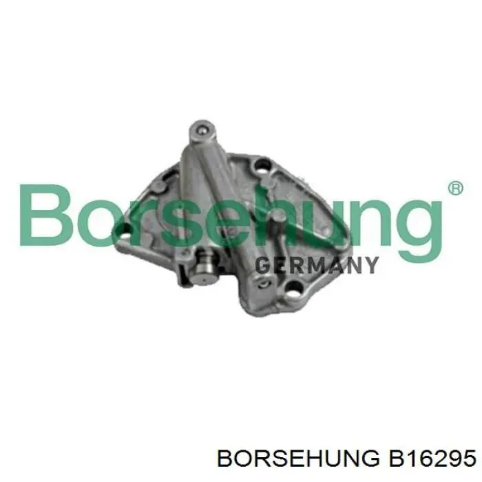 Łańcuch rozrządu, zestaw Borsehung B16295 cena, od 126,67 USD