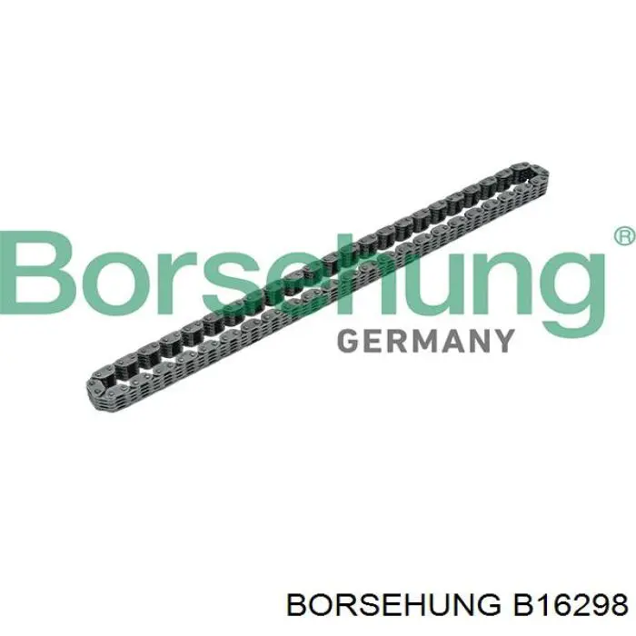 Łańcuch rozrządu, zestaw Borsehung B16298 cena, od 152,10 USD