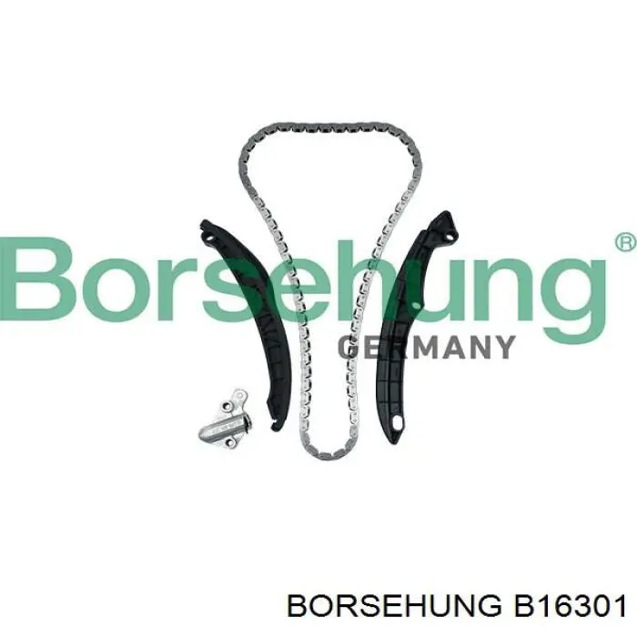 Łańcuch rozrządu Borsehung B16301 cena, od 47,21 USD