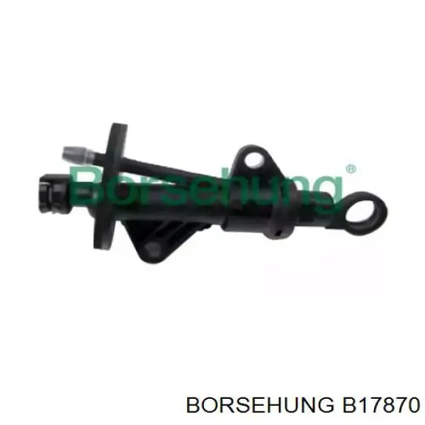 B17870 Borsehung 