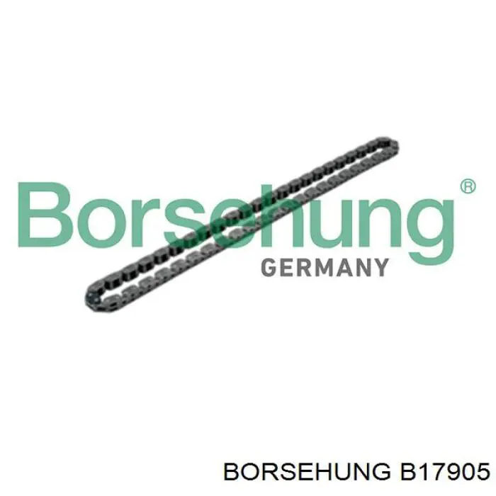 B17905 Borsehung Łańcuch pompy oleju