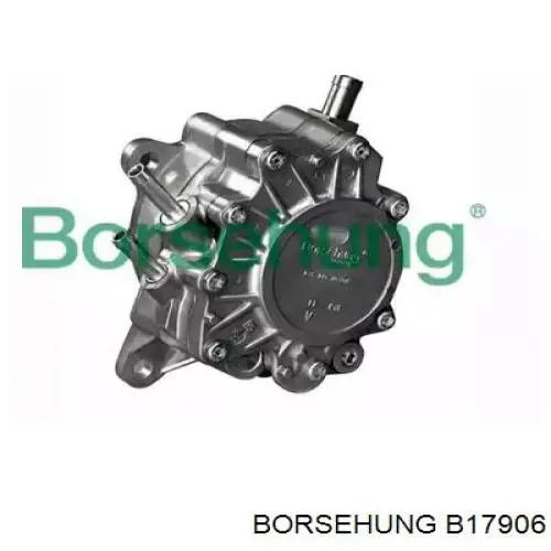 B17906 Borsehung Pompa paliwowa tandemowa