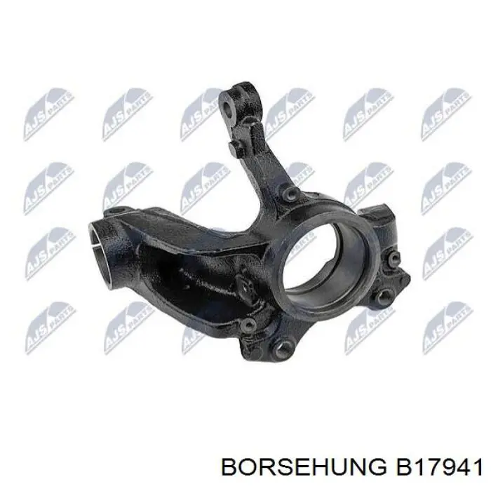 Czop (zwrotnica) przedni lewy Borsehung B17941 cena, od 64,68 USD