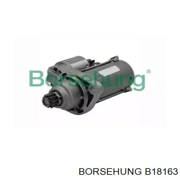 B18163 Borsehung Rozrusznik