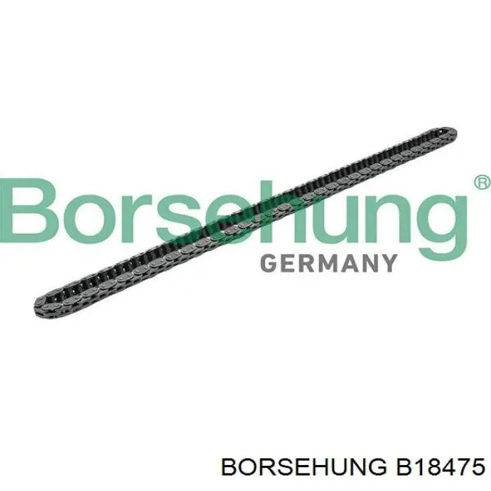 Łańcuch rozrządu, zestaw Borsehung B18475 cena, od 111,04 USD