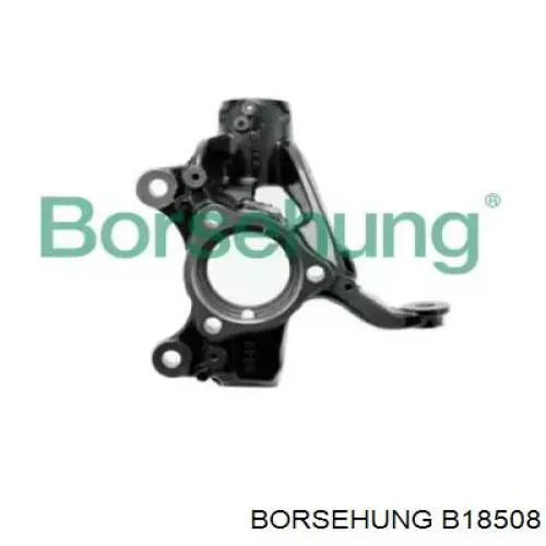 Czop (zwrotnica) przedni lewy Borsehung B18508 cena, od 77,20 USD