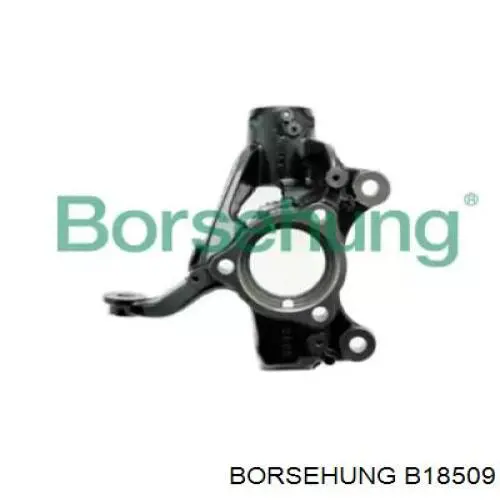 Do koszyka B18509 Borsehung Czop (zwrotnica) przedni prawy