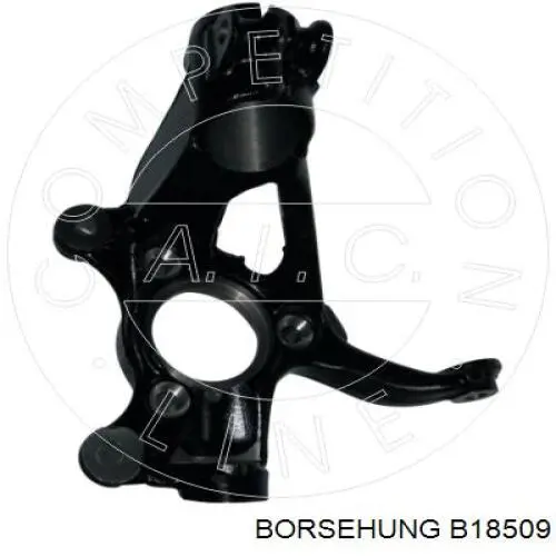 B18509 Borsehung Czop (zwrotnica) przedni prawy