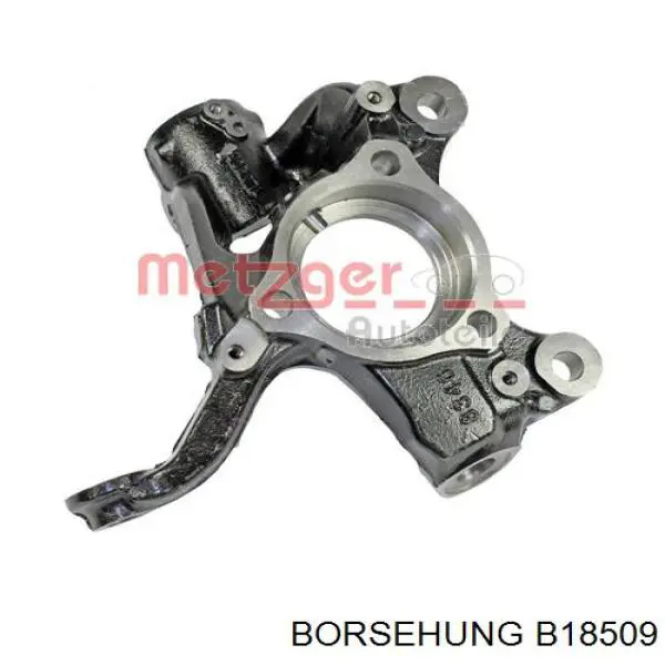 Czop (zwrotnica) przedni prawy Borsehung B18509 cena, od 84,74 USD