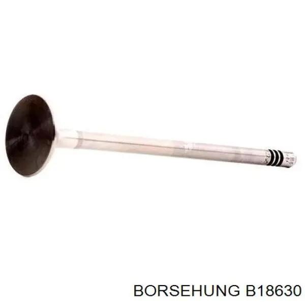 B18630 Borsehung Zawór wydechowy