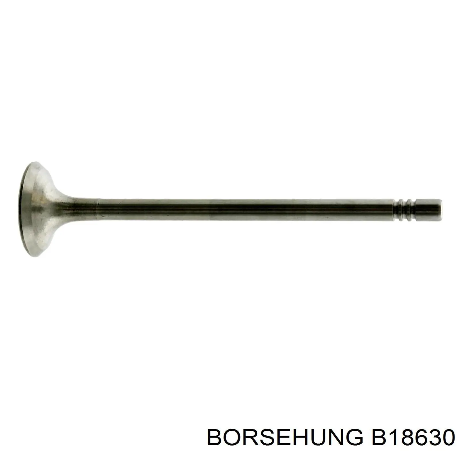 Zawór wydechowy Borsehung B18630 cena, od 12,04 USD