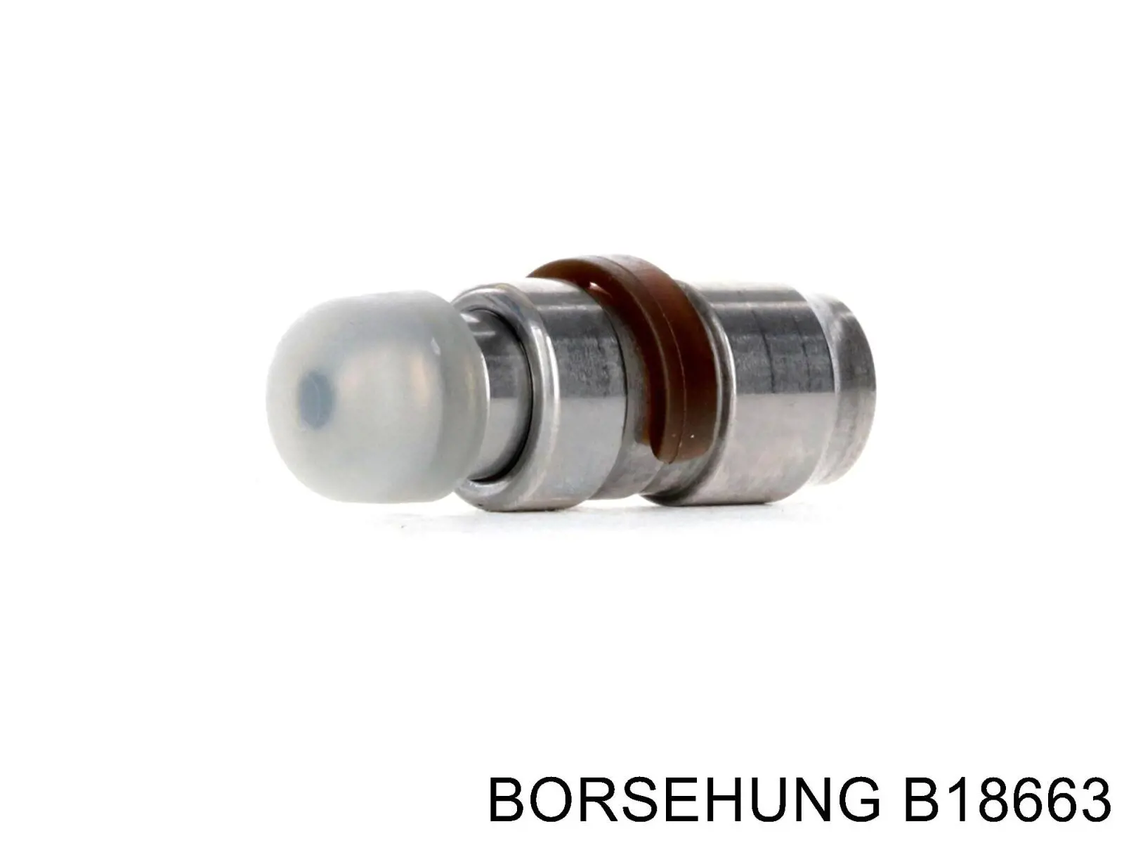 Kompensator hydrauliczny (popychacz hydrauliczny), popychacz zaworu Borsehung B18663 cena, od 27,21 USD