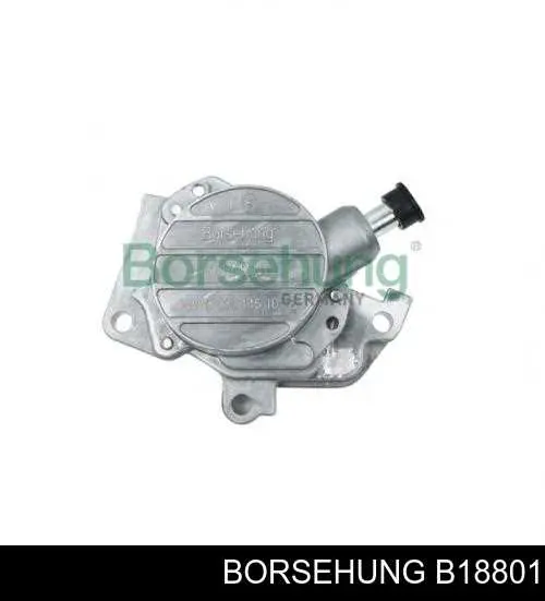 B18801 Borsehung Pompa podciśnienia