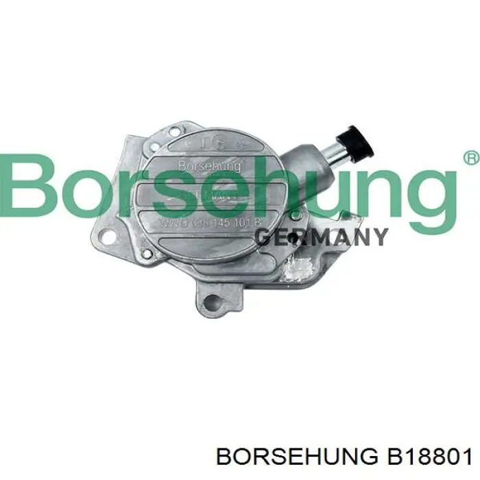 Pompa podciśnienia Borsehung B18801 cena, od 123,24 USD