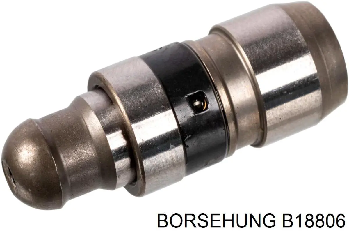 Kompensator hydrauliczny (popychacz hydrauliczny), popychacz zaworu Borsehung B18806 cena, od 8,50 USD
