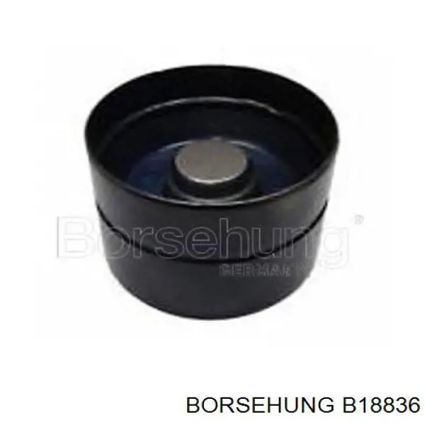 Kompensator hydrauliczny (popychacz hydrauliczny), popychacz zaworu Borsehung B18836 cena, od 9,99 USD