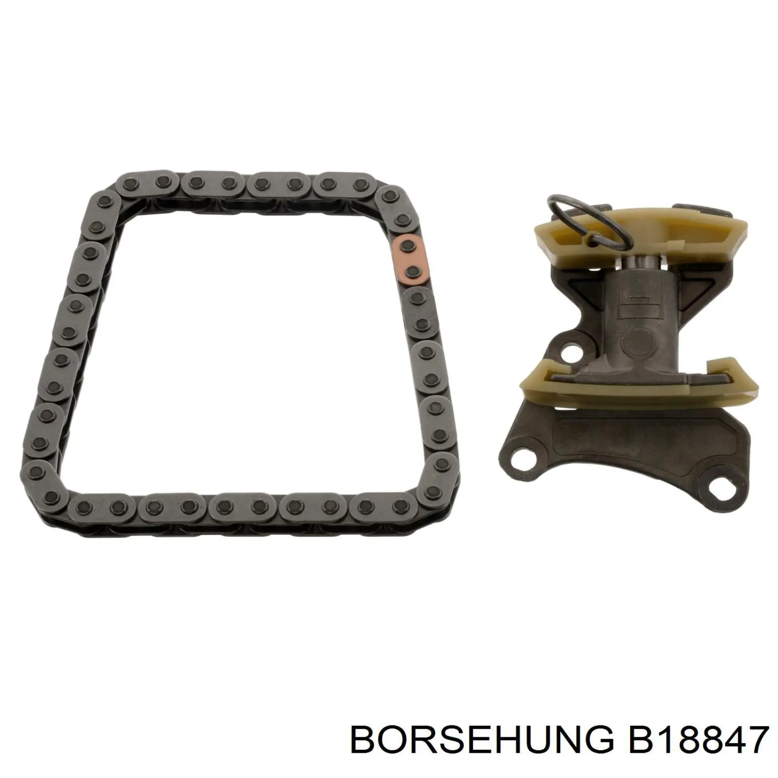 Łańcuch rozrządu, zestaw Borsehung B18847 cena, od 62,92 USD