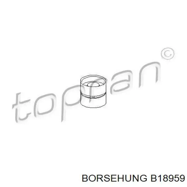 B18959 Borsehung Kompensator hydrauliczny (popychacz hydrauliczny), popychacz zaworu