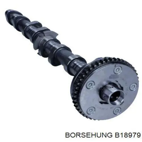 Wał rozrządu silnika ssący, dolotowy Borsehung B18979 cena, od 325,62 USD