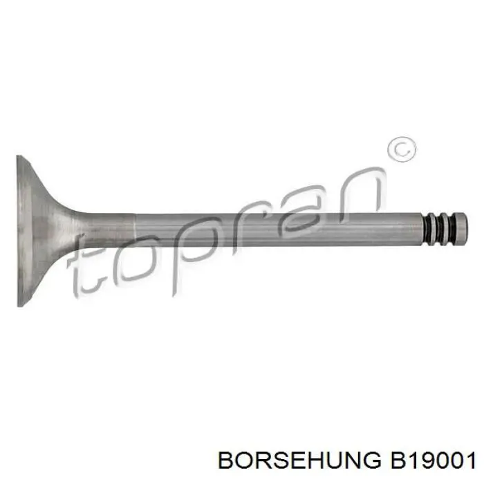 B19001 Borsehung Zawór wydechowy