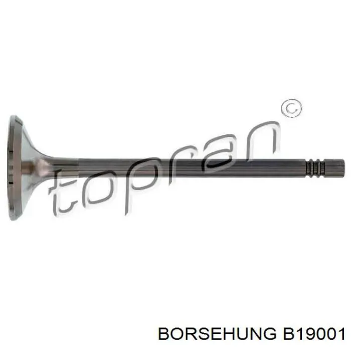 Zawór wydechowy Borsehung B19001 cena, od 12,08 USD