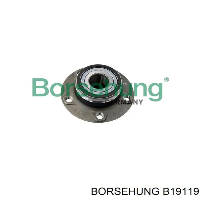 B19119 Borsehung piasta tylna