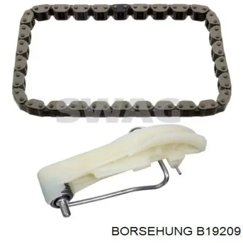 Łańcuch rozrządu, zestaw Borsehung B19209 cena, od 122,01 USD