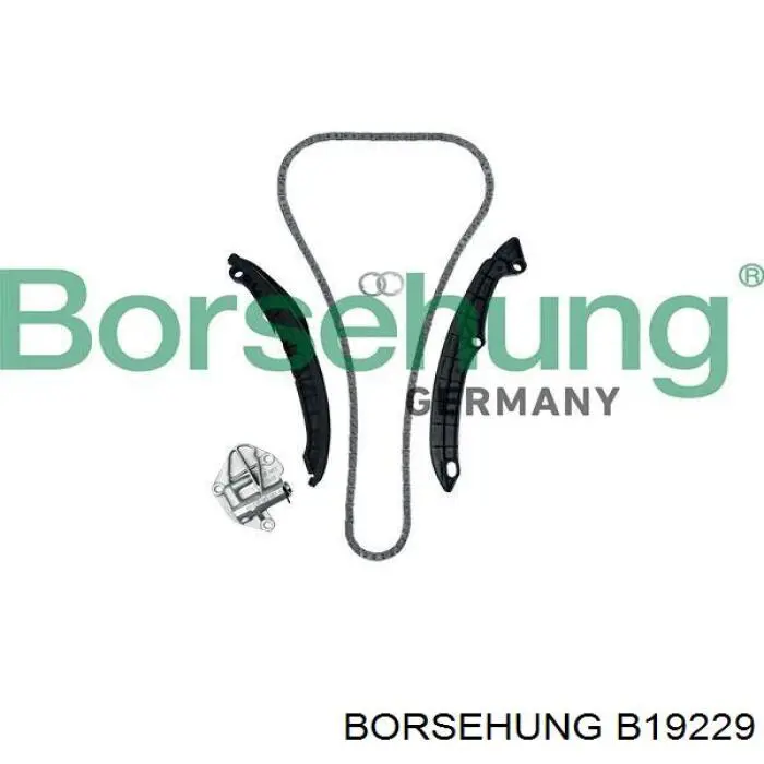 B19229 Borsehung Łańcuch rozrządu, zestaw