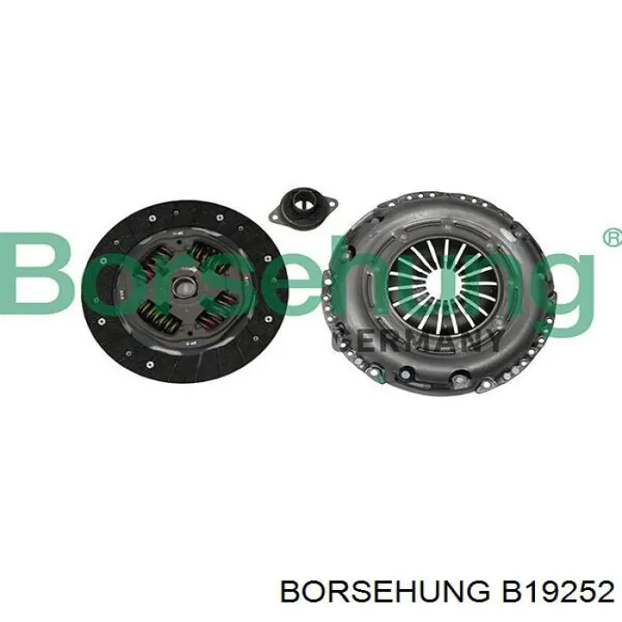 B19252 Borsehung Zestaw sprzęgła (3 części)