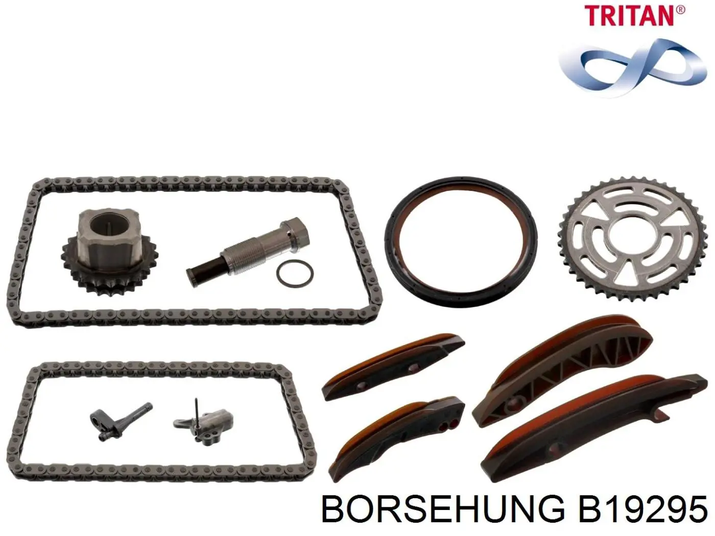 Łańcuch rozrządu, zestaw Borsehung B19295 cena, od 140,64 USD