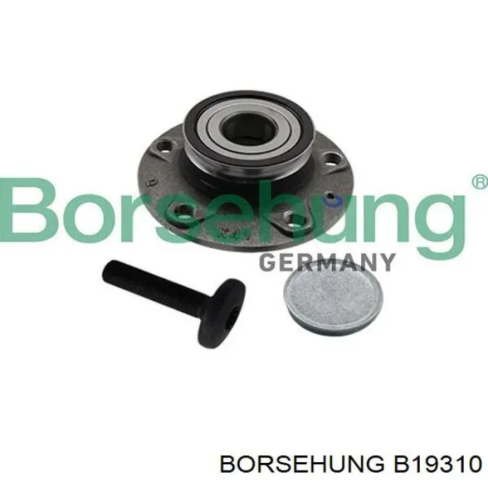 Piasta tylna Borsehung B19310 cena, od 82,58 USD