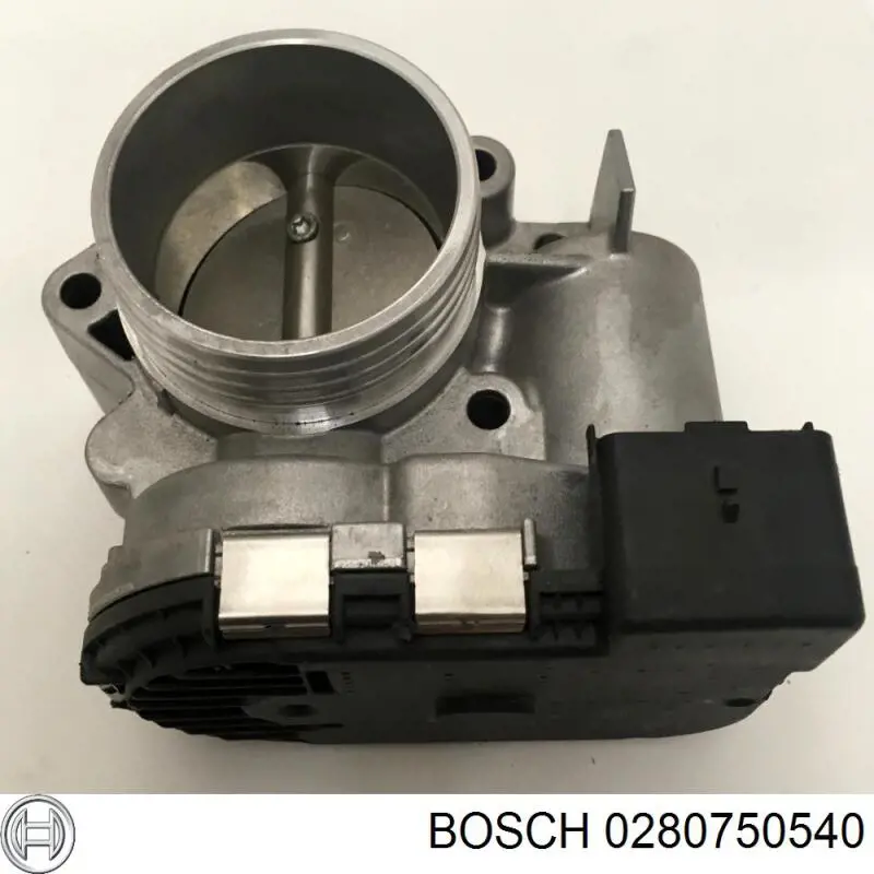Do koszyka 163669 Peugeot/Citroen Przepustnica, komplet
