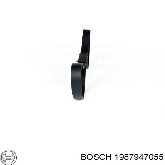 Pas napędowy mechanizmów Continental/Siemens 8PK1625 cena, od 27,69 USD