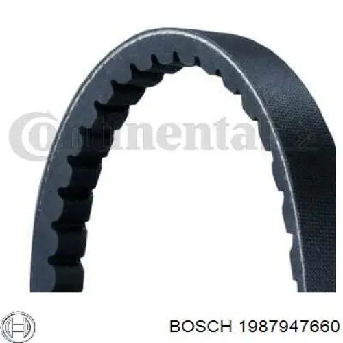 Pas napędowy mechanizmów 13A1145C Dayco