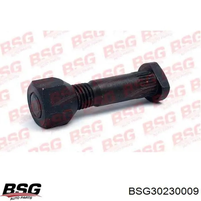 Nakrętka koła BSG BSG30230009 cena, od 1,59 USD