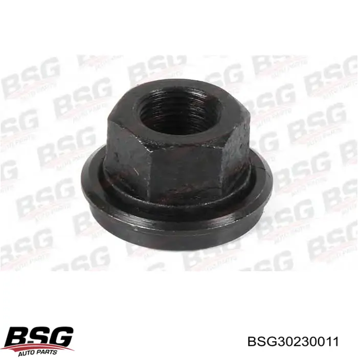 Do koszyka 6667020 Ford Nakrętka koła