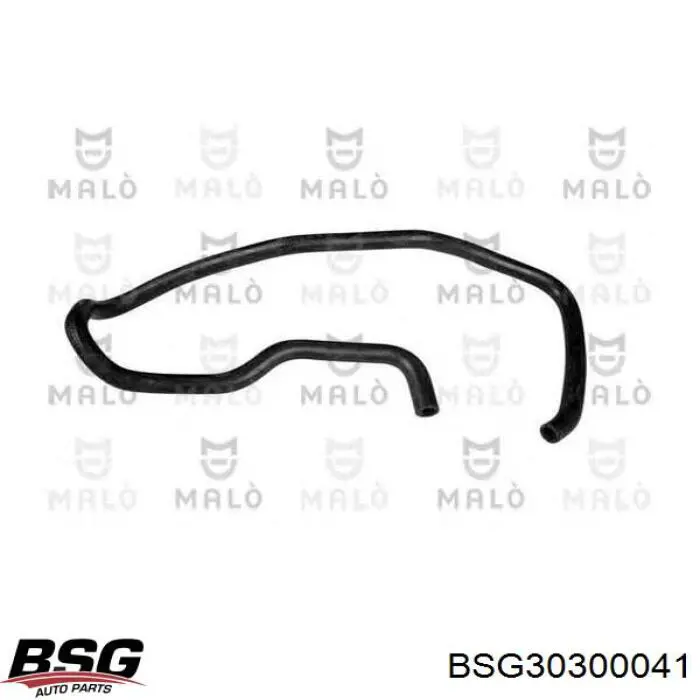 Do koszyka BSG30300041 BSG Amortyzator przedni