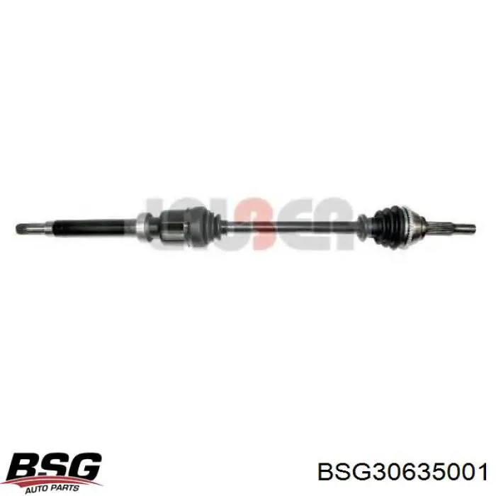 Do koszyka BSG30635001 BSG Łożysko podwieszane półosi przedniej