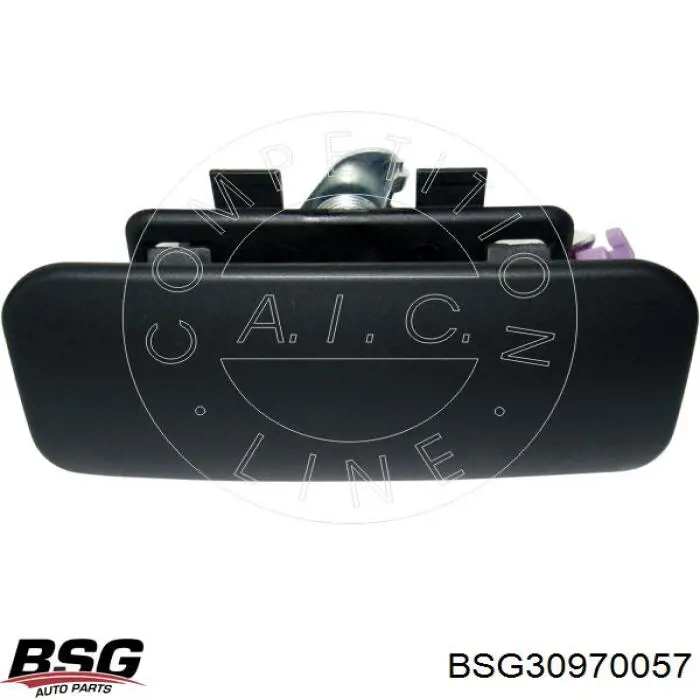 BSG30970057 BSG Klamka drzwi bocznych przesuwnych zewnętrzna