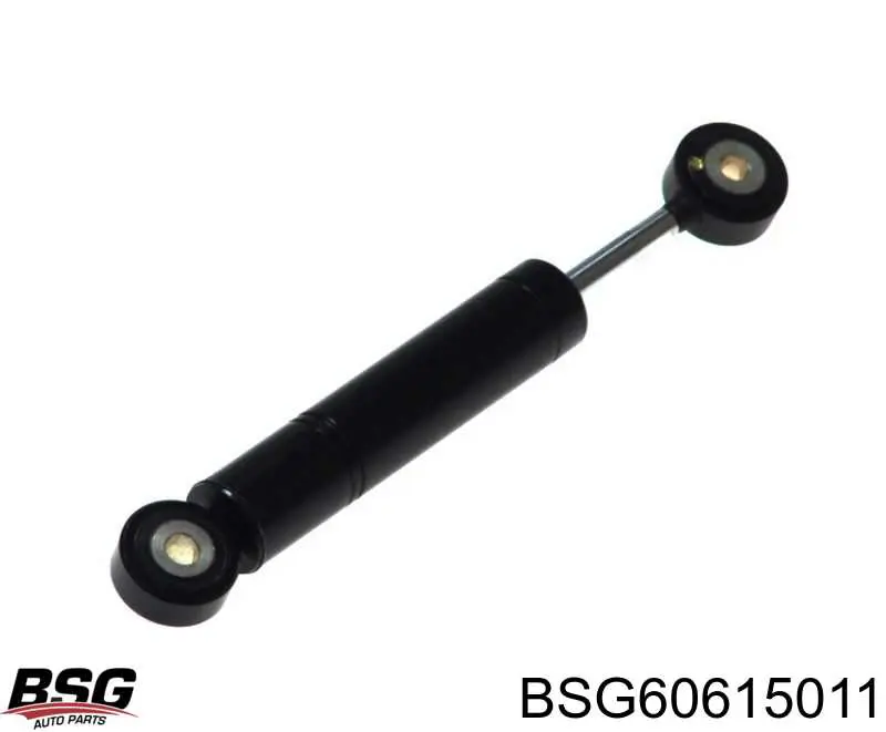 BSG60615011 BSG Amortyzator napinacza paska napędowego