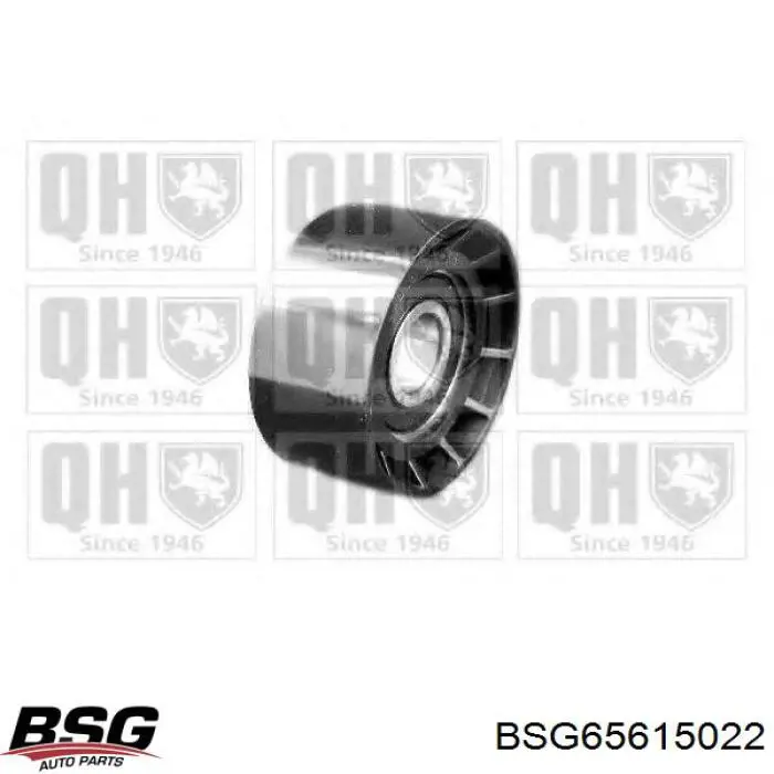 Do koszyka BSG65615022 BSG Rolka prowadząca, kierunkowa paska napędowego