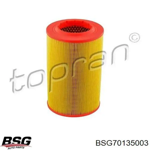 Filtr powietrza BSG BSG70135003 cena, od 16,87 USD