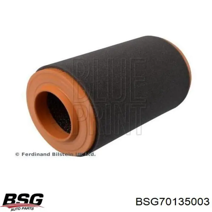 Do koszyka BSG70135003 BSG Filtr powietrza
