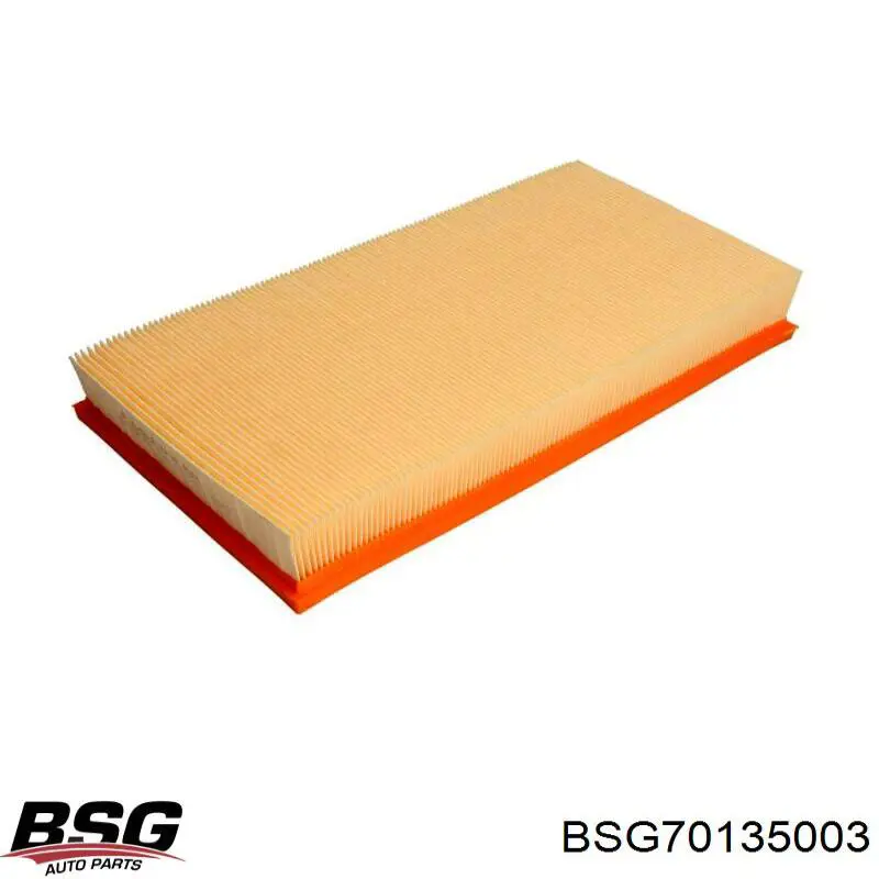 BSG70135003 BSG Filtr powietrza