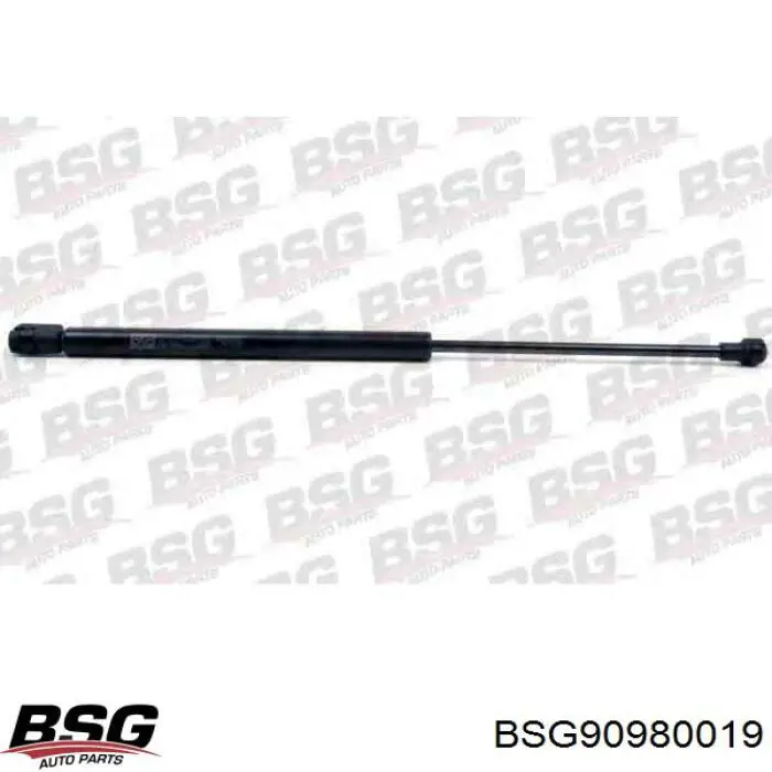 Amortyzator maski BSG BSG90980019 cena, od 13,38 USD