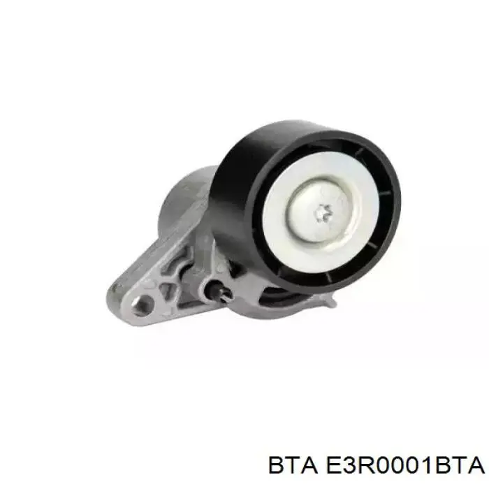 Napinacz paska napędowego BTA E3R0001BTA cena, od 38,27 USD