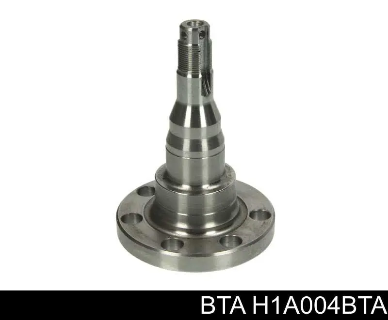 Lożysko piasty tylnej/przedniej BTA H1A004BTA cena, od 25,35 USD