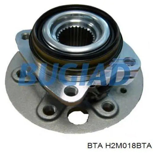 Piasta tylna BTA H2M018BTA cena, od 110,32 USD