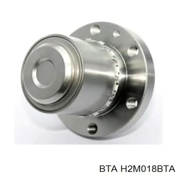 Piasta tylna BTA H2M018BTA