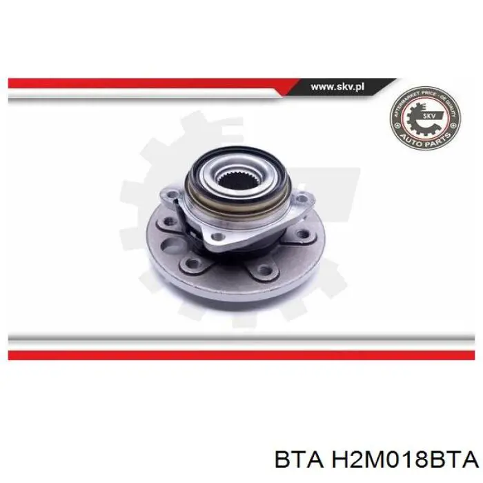 Piasta tylna BTA H2M018BTA cena, od 110,32 USD
